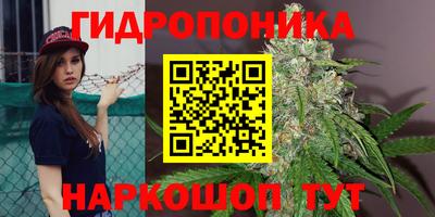 стаф Донской