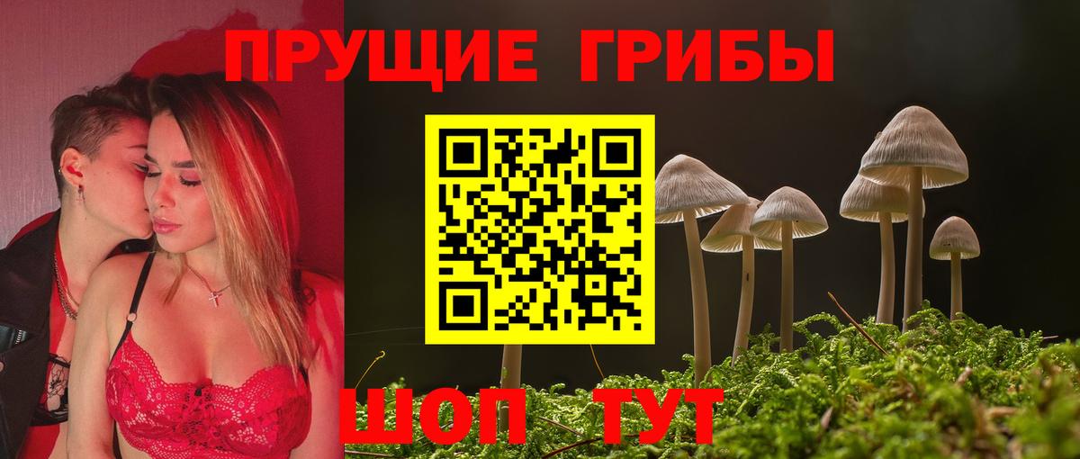 Муравленко  Псилоцибиновые грибы Psilocybe  Вход с VPN 